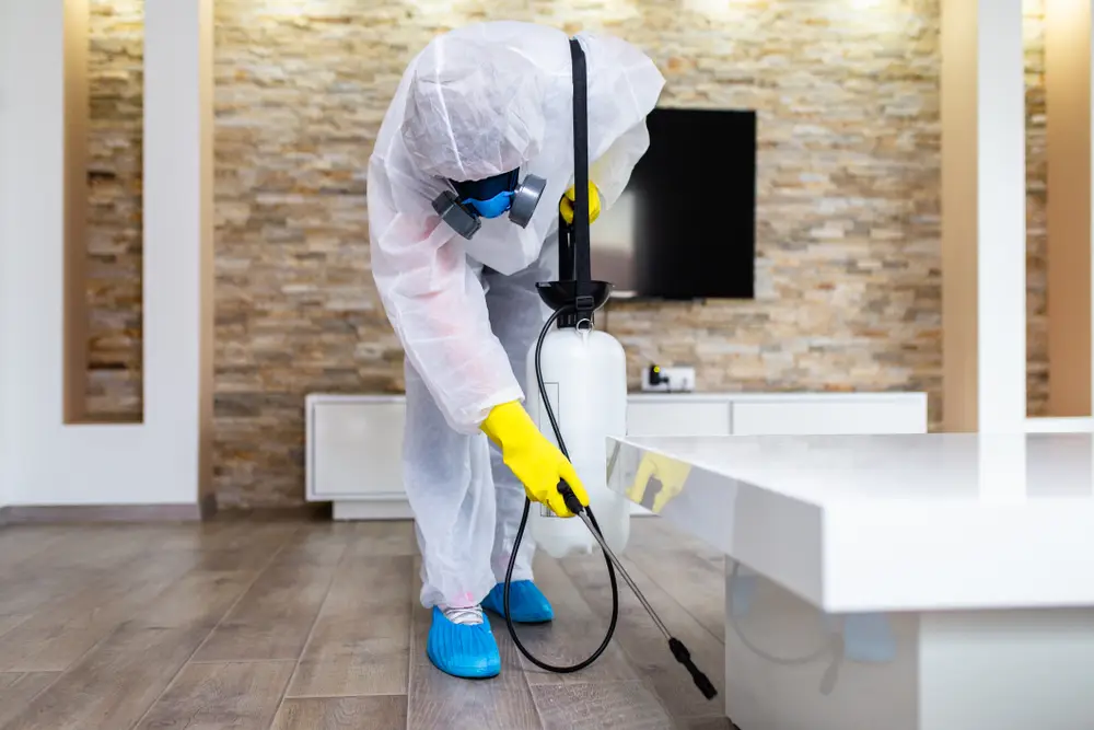 What are the Benefits of a Fumigation Service?