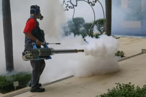 Does Dengue Fumigation Really Work